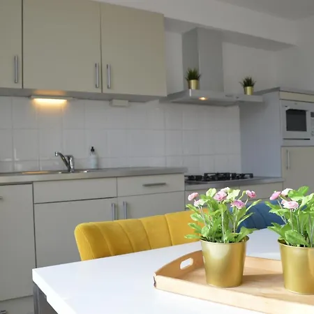 Seapaerdje * Bergen aan Zee